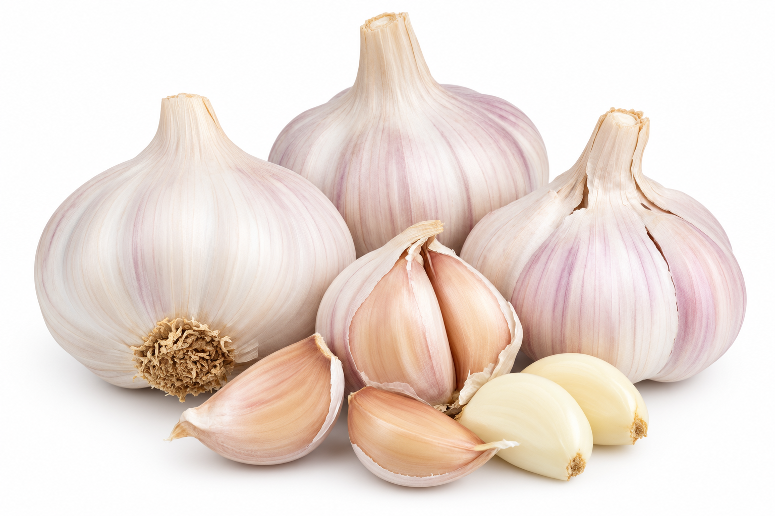 Garlic