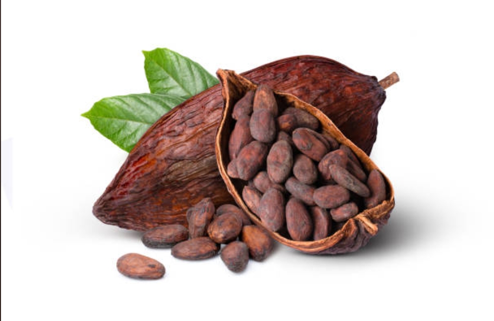 Whole Raw organic cocoa beans